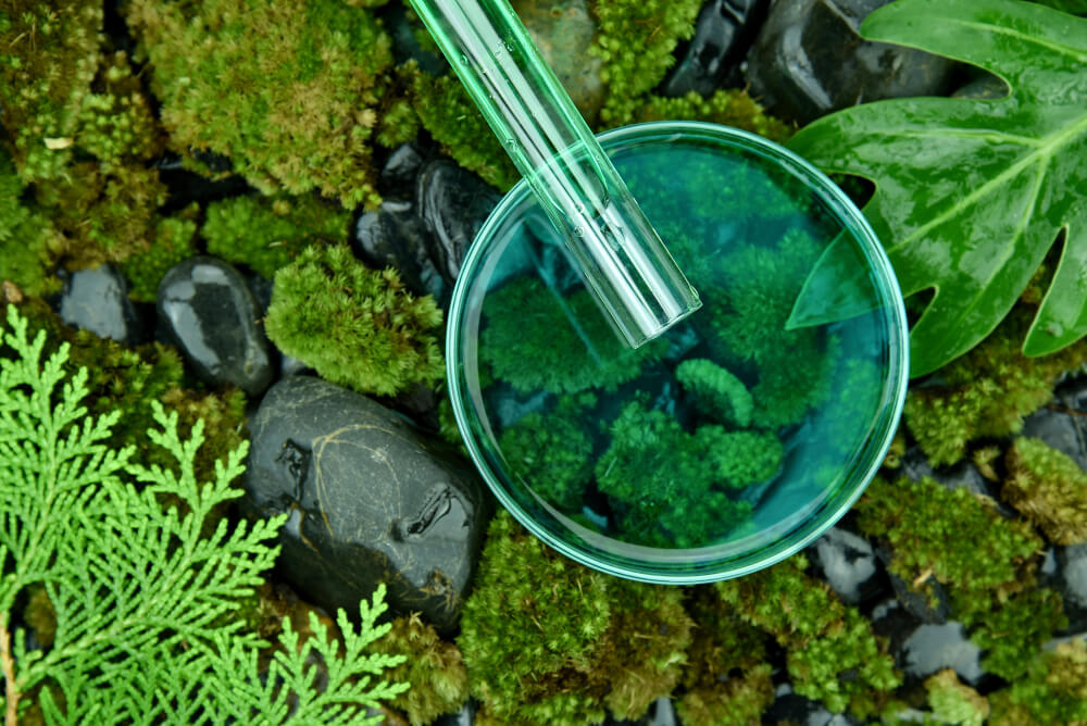 Mit ienem Glasthermometer wird die Temperatur in einem Terrarium gemessen