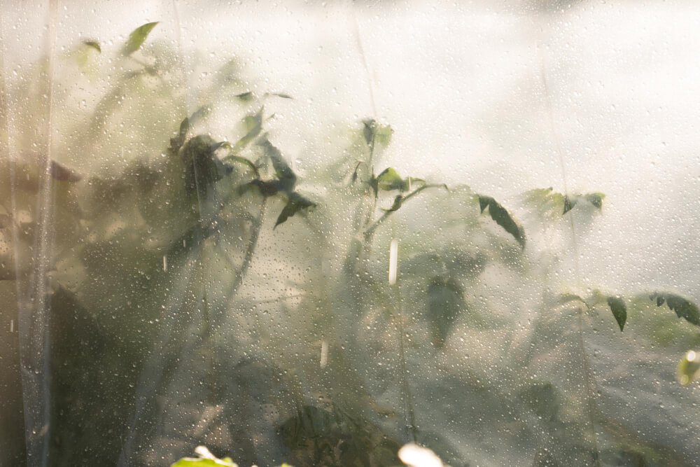 Dein Terraristik Blog Mit Vielen Tipps TerrariumLiebe Dein Terraristik Blog Mit Vielen Tipps TerrariumLiebe